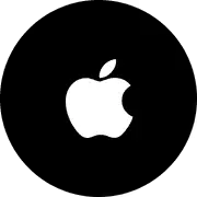 Brand icon 3