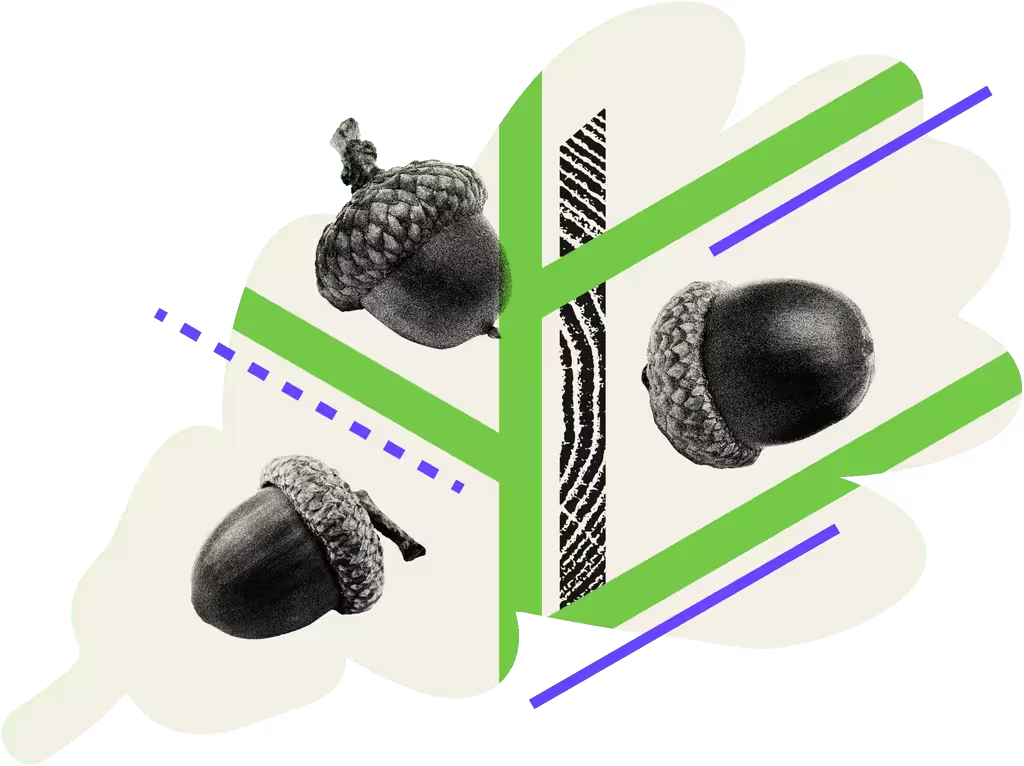 Round-Ups feature